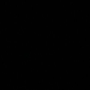 Meet your Posher, Jackson